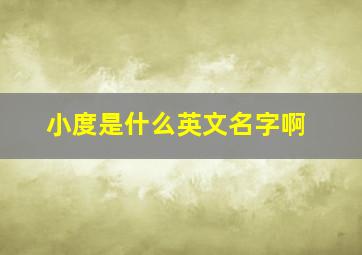 小度是什么英文名字啊