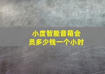 小度智能音箱会员多少钱一个小时