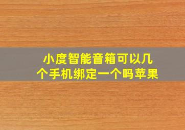 小度智能音箱可以几个手机绑定一个吗苹果