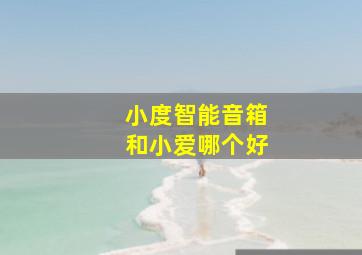 小度智能音箱和小爱哪个好