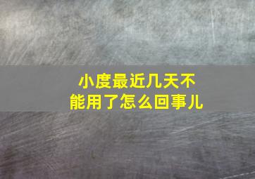 小度最近几天不能用了怎么回事儿