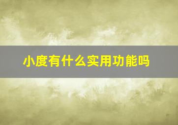 小度有什么实用功能吗