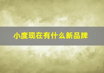 小度现在有什么新品牌