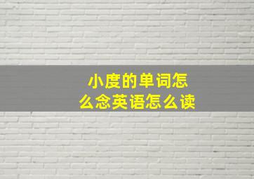 小度的单词怎么念英语怎么读