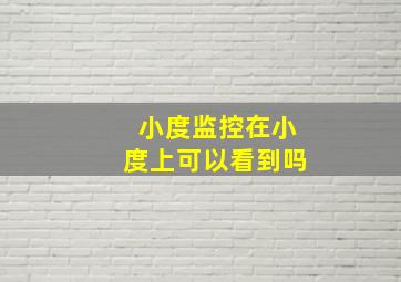 小度监控在小度上可以看到吗