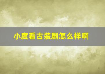 小度看古装剧怎么样啊