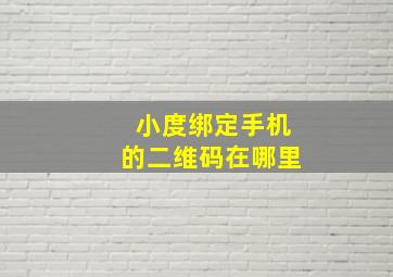 小度绑定手机的二维码在哪里