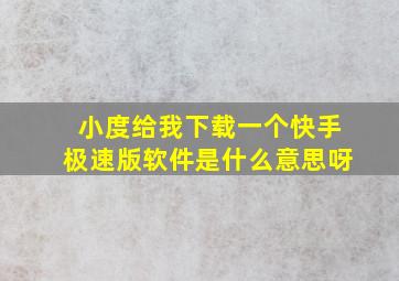 小度给我下载一个快手极速版软件是什么意思呀