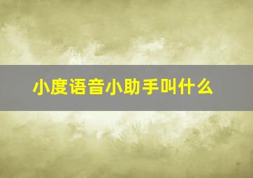 小度语音小助手叫什么