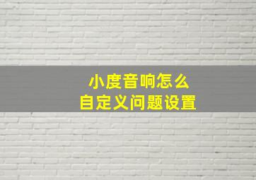 小度音响怎么自定义问题设置