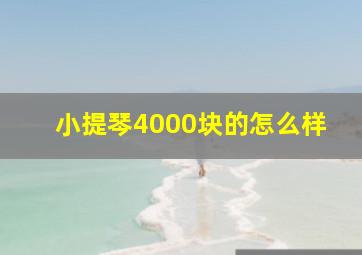 小提琴4000块的怎么样