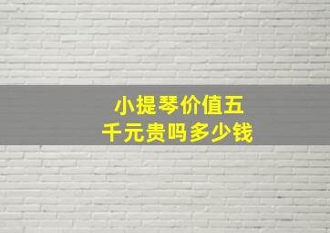 小提琴价值五千元贵吗多少钱