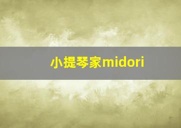 小提琴家midori