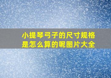 小提琴弓子的尺寸规格是怎么算的呢图片大全