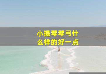 小提琴琴弓什么样的好一点