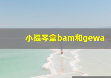 小提琴盒bam和gewa