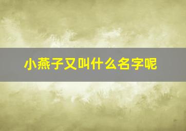 小燕子又叫什么名字呢