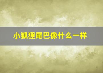 小狐狸尾巴像什么一样