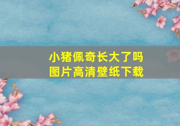 小猪佩奇长大了吗图片高清壁纸下载