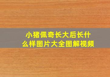 小猪佩奇长大后长什么样图片大全图解视频