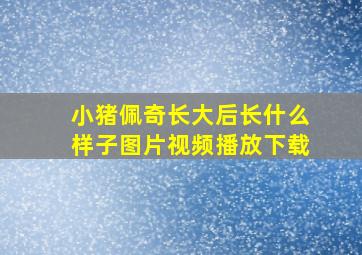 小猪佩奇长大后长什么样子图片视频播放下载