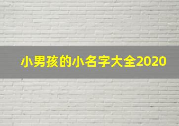 小男孩的小名字大全2020