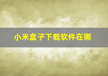 小米盒子下载软件在哪