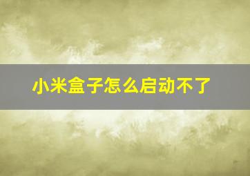 小米盒子怎么启动不了