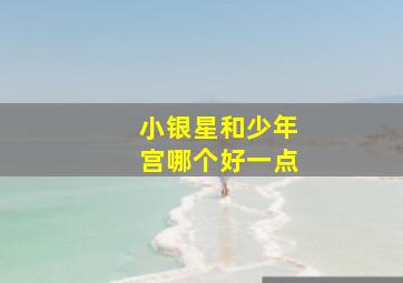 小银星和少年宫哪个好一点