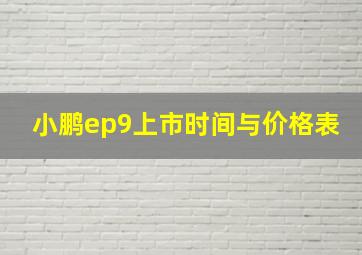 小鹏ep9上市时间与价格表