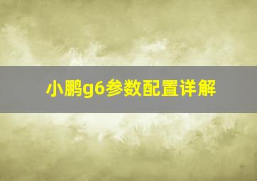 小鹏g6参数配置详解