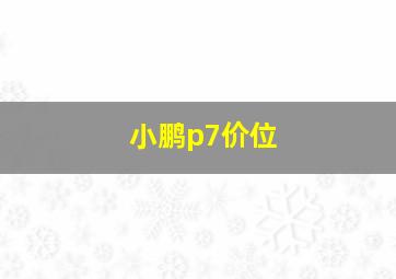 小鹏p7价位