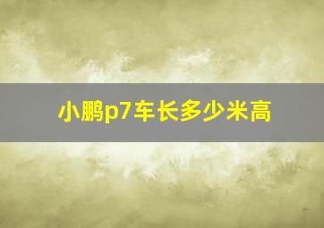 小鹏p7车长多少米高