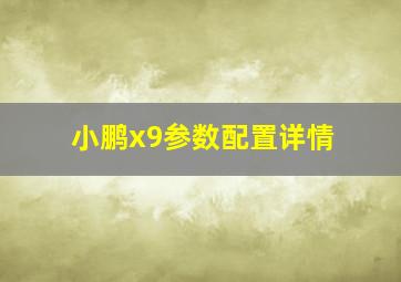 小鹏x9参数配置详情