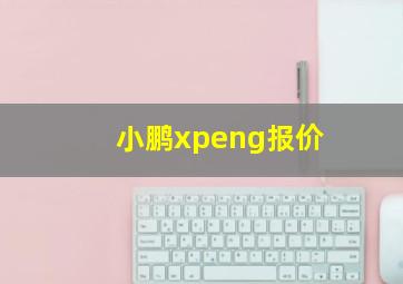 小鹏xpeng报价