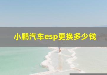 小鹏汽车esp更换多少钱