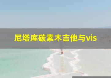 尼塔库碳素木吉他与vis