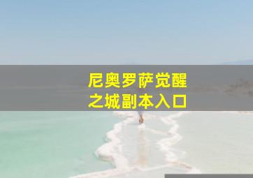 尼奥罗萨觉醒之城副本入口