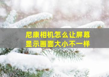 尼康相机怎么让屏幕显示画面大小不一样