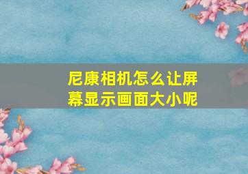 尼康相机怎么让屏幕显示画面大小呢