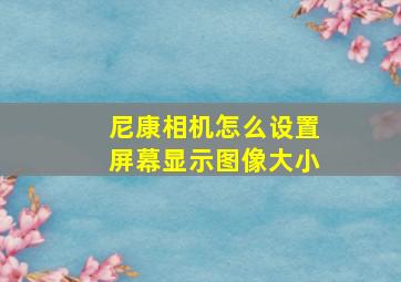 尼康相机怎么设置屏幕显示图像大小