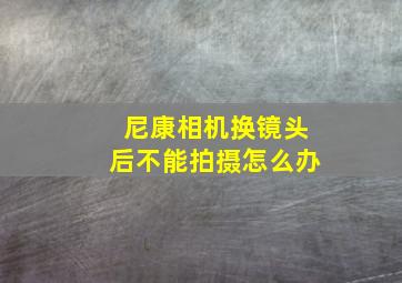 尼康相机换镜头后不能拍摄怎么办