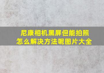 尼康相机黑屏但能拍照怎么解决方法呢图片大全