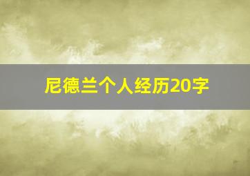 尼德兰个人经历20字