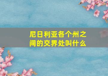 尼日利亚各个州之间的交界处叫什么