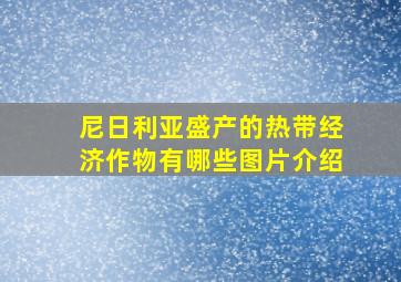 尼日利亚盛产的热带经济作物有哪些图片介绍