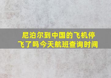 尼泊尔到中国的飞机停飞了吗今天航班查询时间