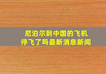 尼泊尔到中国的飞机停飞了吗最新消息新闻