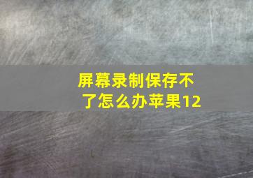 屏幕录制保存不了怎么办苹果12