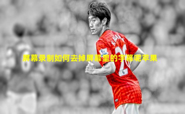屏幕录制如何去掉屏幕里的字幕呢苹果